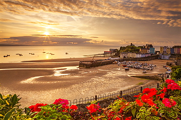 Tenby, Pembrokeshire, Wales, United Kingdom, Europe