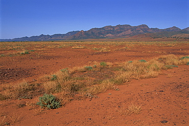 Flinders Range, Heysen Range, South Australia, Australia, Pacific