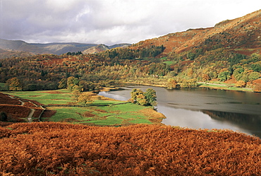 Loughrigg Fell, Rydal, Lake District National Park, Cumbria, England, United Kingdom, Europe