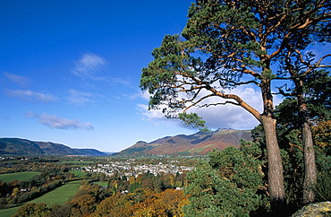 Keswick from Castle Head, Borrowdale, Lake District, Cumbria, England, United Kingdom, Europe