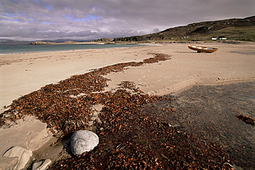 Seaweed on beach, Mellon Udrigle, Wester Ross, Highland region, Scotland, United Kingdom, Europe