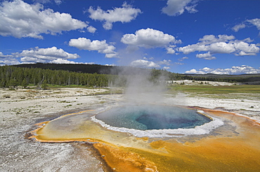 Crested Pool, Upper Geyser Basin, Yellowstone National Park, UNESCO World Heritage Site, Wyoming, United States of America, North America