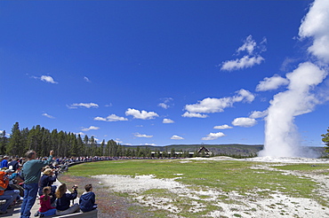 Crowds of spectators watching Old Faithful Geyser erupting, Upper Geyser Basin, Yellowstone National Park, UNESCO World Heritage Site, Wyoming, United States of America, North America