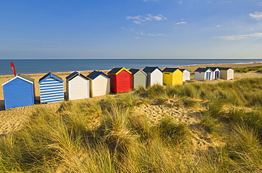 Brightly painted beach huts, rear view, in the afternoon sunshine below Gun Hill, Southwold, Suffolk, England, United Kingdom, Europe