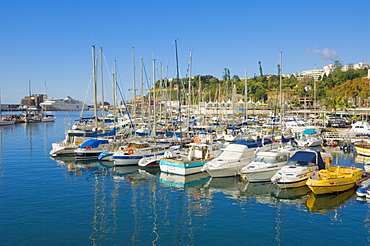 Cruise ships and yachts in the harbour at Funchal, Madeira, Portugal, Atlantic, Europe