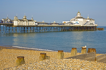 Eastbourne Pier, beach and groynes, Eastbourne, East Sussex, England, United Kingdom, Europe