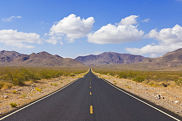 Straight road, Daylight Pass road, Highway 374 from Beatty Nevada, through the Grapevine mountains of the Amargosa Range to Death Valley, with Mesquite bushes along the roadside, Death Valley National Park, California Nevada border, United States of America, North America