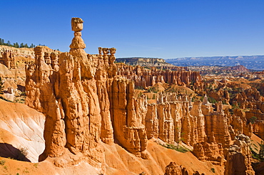 Thor's Hammer, an iconic hoodoo on the Navajo trail, a hiking trail through Bryce Amphitheater, Bryce Canyon National Park, Utah, United States of America, North America