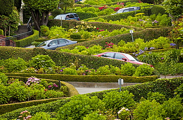 Traffic slowly zigzags down Lombard Street, the crookedest street in the city, San Francisco, California, United States of America, North America