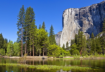 El Capitan, a 3000 feet granite monolith, with the Merced River flowing through the flooded meadows of Yosemite Valley, Yosemite National Park, UNESCO World Heritage Site, Sierra Nevada, California, United States of America, North America