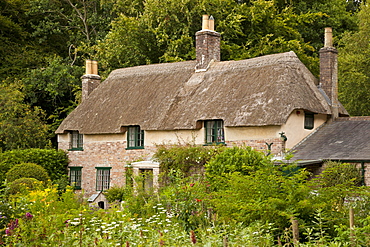 Thomas Hardy's cottage, Higher Bockhampton, near Dorchester, Dorset, England, United Kingdom, Europe