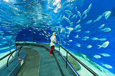 Female tourist at Ocean Aquarium, Shanghai, China, Asia