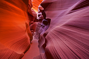 Sandstone Rock formations, Lower Antelope Canyon, Page, Arizona, United States of America, North America