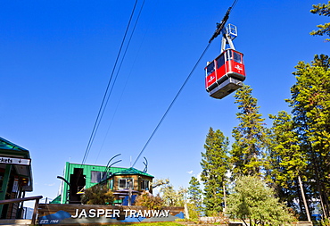 Red Gondola car on the Jasper tramway rising up Whistler mountain, Jasper National Park, Alberta, Canada, North America