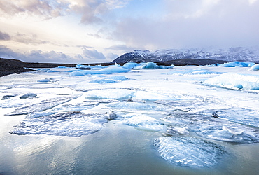 Frozen icebergs locked in the frozen waters of Fjallsarlon Glacier lagoon, South East Iceland, Iceland, Polar Regions