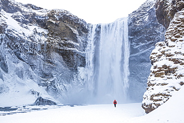 One person in red jacket walking in the snow towards Skogafoss waterfall in winter, Skogar, South Iceland, Iceland, Polar Regions