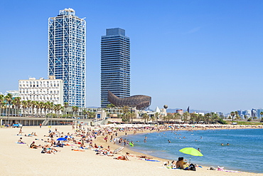 People sunbathing on Barcelona beach, Barceloneta, Barcelona, Catalonia (Catalunya), Spain, Europe