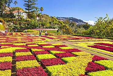 Formal garden in Madeira Botanical gardens (Jardim Botanico), above the capital city of Funchal, Madeira, Portugal, Atlantic, Europe