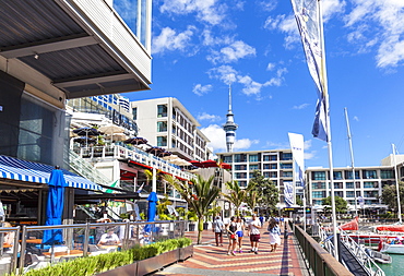 Restaurants and bars in waterfront area, Viaduct Harbour, Auckland, North Island, New Zealand, Pacific