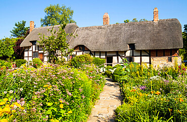 Anne Hathaway's Cottage, a thatched cottage and cottage garden, Shottery, near Stratford upon Avon, Warwickshire, England, United Kingdom, Europe