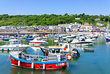 Fishing boats and yachts in the Jurassic Coast harbour at Lyme Regis, Dorset, England, United Kingdom, Europe