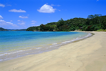 Bay of Islands, Northland, North Island, New Zealand, Pacific