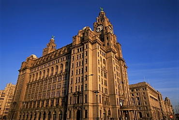 Liver Building, Liverpool, Merseyside, England, United Kingdom, Europe