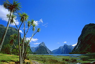 Mitre Peak, Milford Sound, Otago, South Island, New Zealand, Pacific