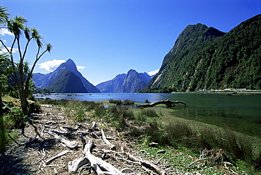 Mitre Peak, Milford Sound, Otago, South Island, New Zealand, Pacific