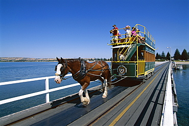 Horse drawn tram, Victor Harbour, South Australia, Australia, Pacific