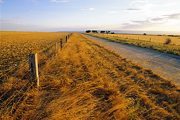 Outback road, Cape Jervis, South Australia, Australia