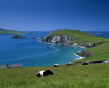 County Kerry, Munster, Eire (Republic of Ireland), Europe