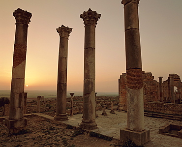 Roman ruins, Volubilis, Morocco, North Africa, Africa