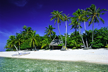 Beach and palm trees, Tahiti, Society Islands, French Polynesia, South Pacific Islands, Pacific