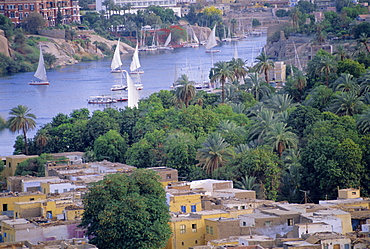 Feluccas on the River Nile, Aswan, Egypt 