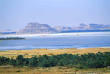 Siwa Oasis, Egypt