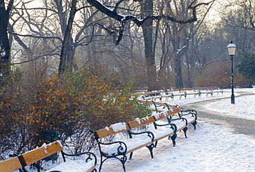 A snow covered park in Vienna in Winter, Austria 