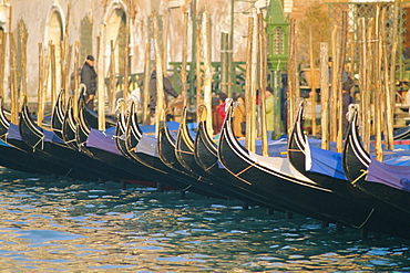 A line of Gondolas, Venice, Veneto, Italy 
