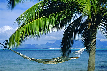 Hammock, Tahiti, Society Islands, French Polynesia, South Pacific Islands, Pacific