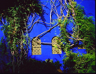 Detail from Majorelle's house and garden, Marrakesh