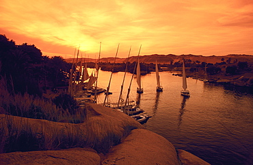 Feluccas on the Nile at dusk, Aswan, Egypt, Africa