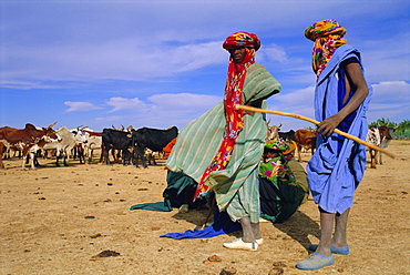 Peul herders with their cattle, River Bani, Sofara, Mali, Africa