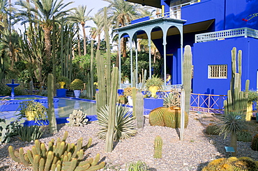 Jardin Majorelle, Marrakech (Marrakesh), Morocco, North Africa, Africa