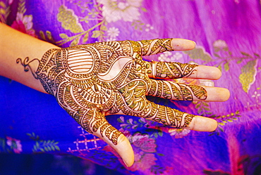 Woman's hand decorated with henna, Rajasthan, India 