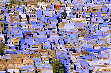 The blue town of Jodhpur, Rajasthan, India, The blue houses are those belonging to the Brahmin caste