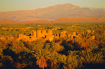 Kasbah Amerhidil-Skoura, Ouarzazate region, Morocco, North Africa