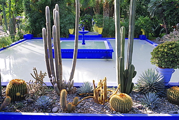 Majorelle Gardens, Marrakesh,  Morocco, North Africa