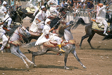 Riders in the Fantasia pour le moussen de Moulay Abdallah, El Jadida, Morocco, North Africa, Africa