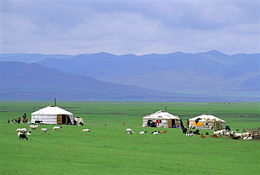 Gers (yurts) in Ovorkhangai Province, Mongolia, Asia