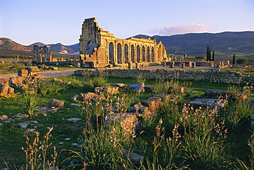 Roman archaeological site, Volubilis, Meknes Region, Morocco, North Africa, Africa